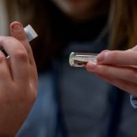 two hands of children holding vials of liquid with one bug in each of them